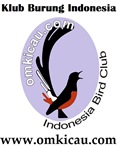 The omkicau.com logo