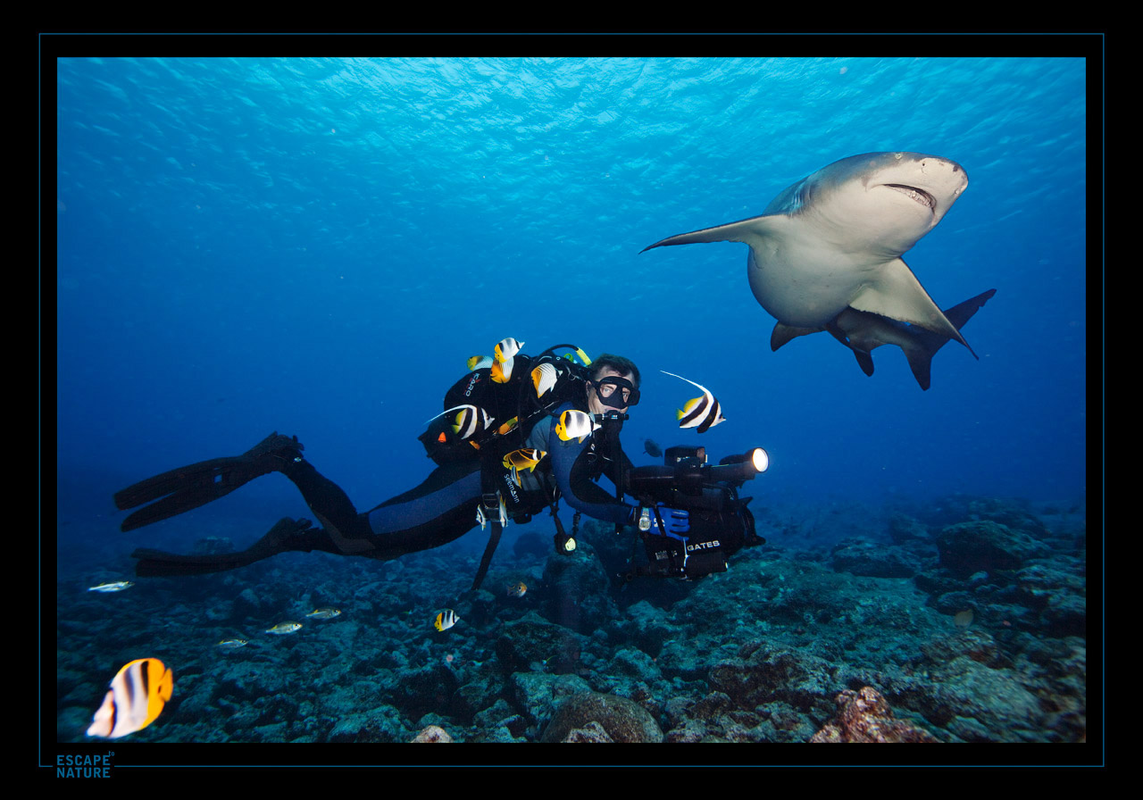 During underwater filming in Tahiti