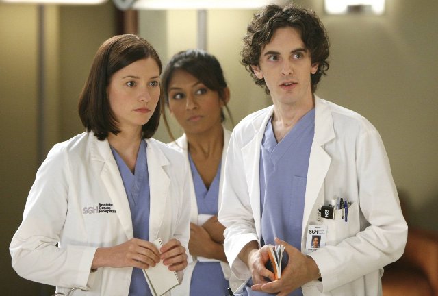 Chyler Leigh, Amrapali Ambegaokar, and Mark Saul in Grey's Anatomy (2007)