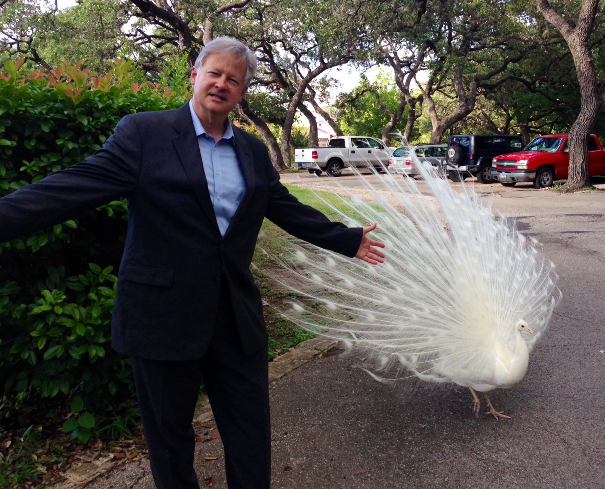 Alan and the White Peacock.