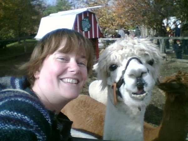 Smiling Alpaca October 2009