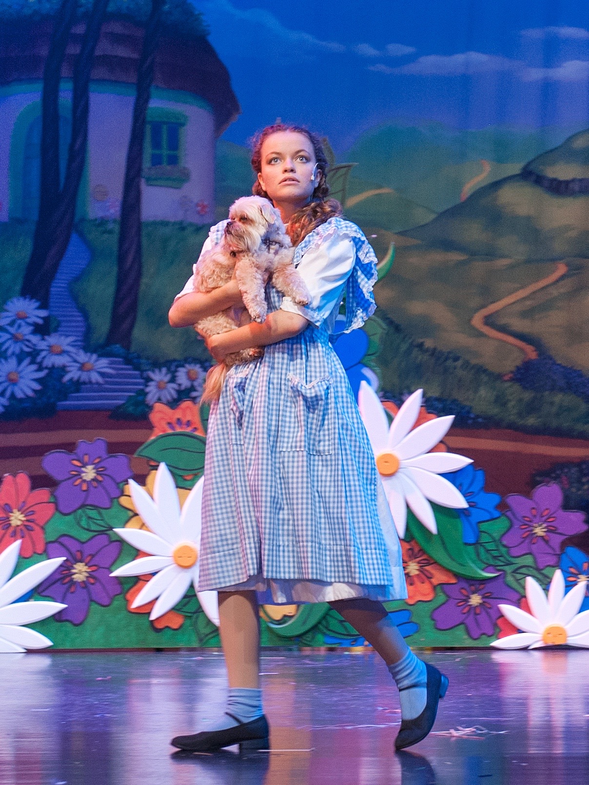 Still of Allyson Nicole Jones in The Wizard of Oz as Dorothy Gale (2014)