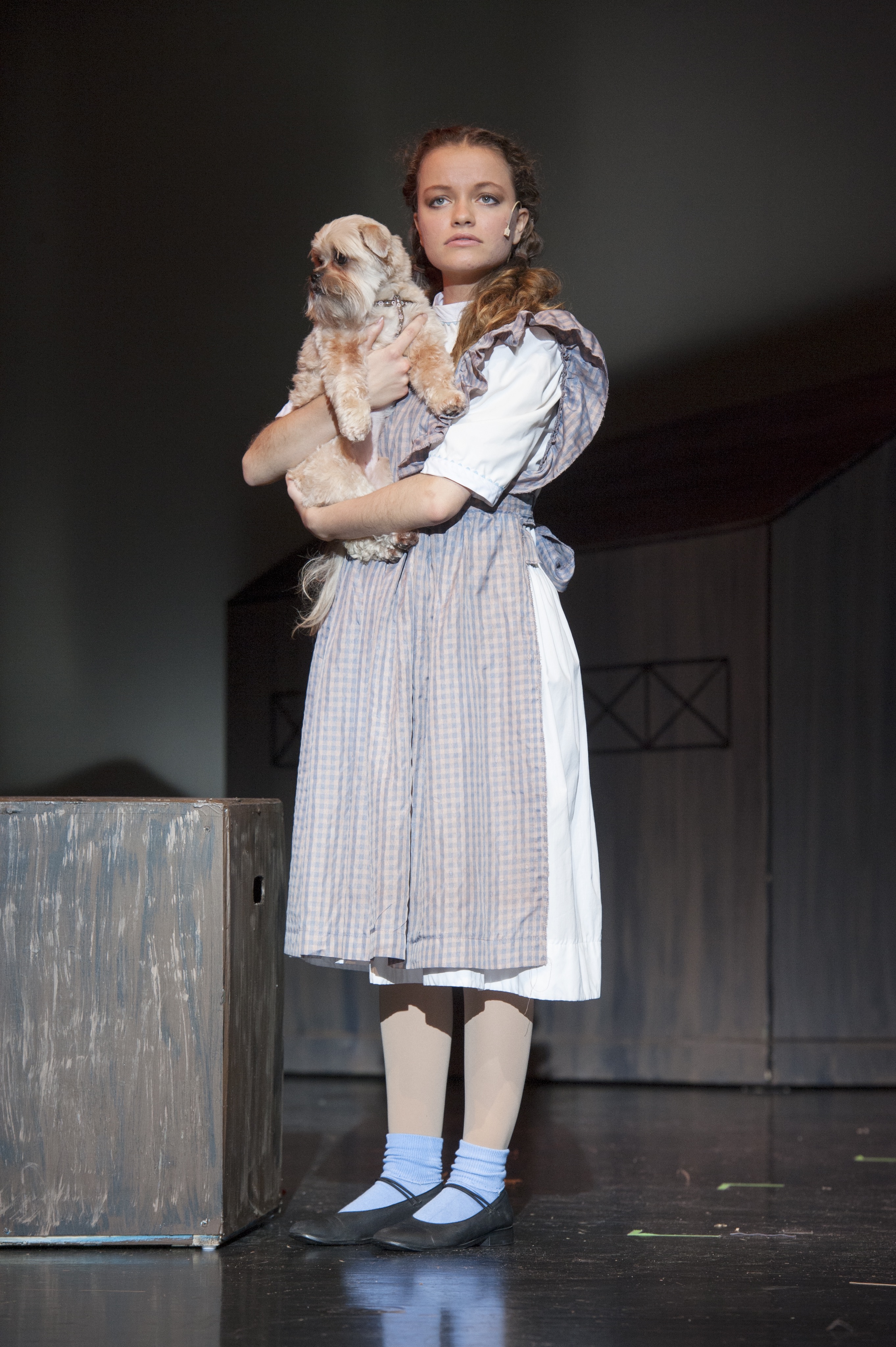 Still of Allyson Nicole Jones in The Wizard of Oz as Dorothy Gale (2014)