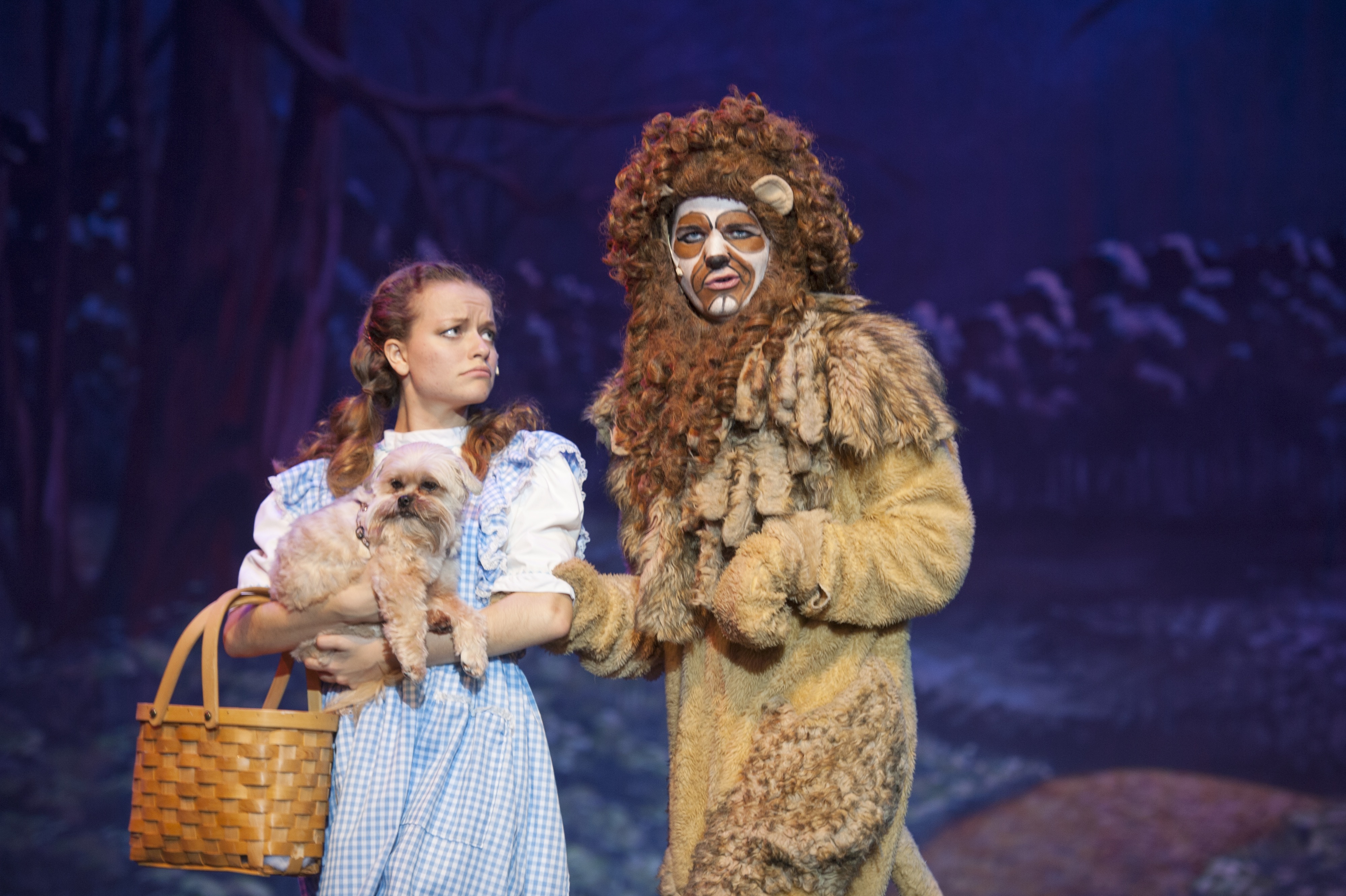 Still of Allyson Nicole Jones in The Wizard of Oz as Dorothy Gale (2014)