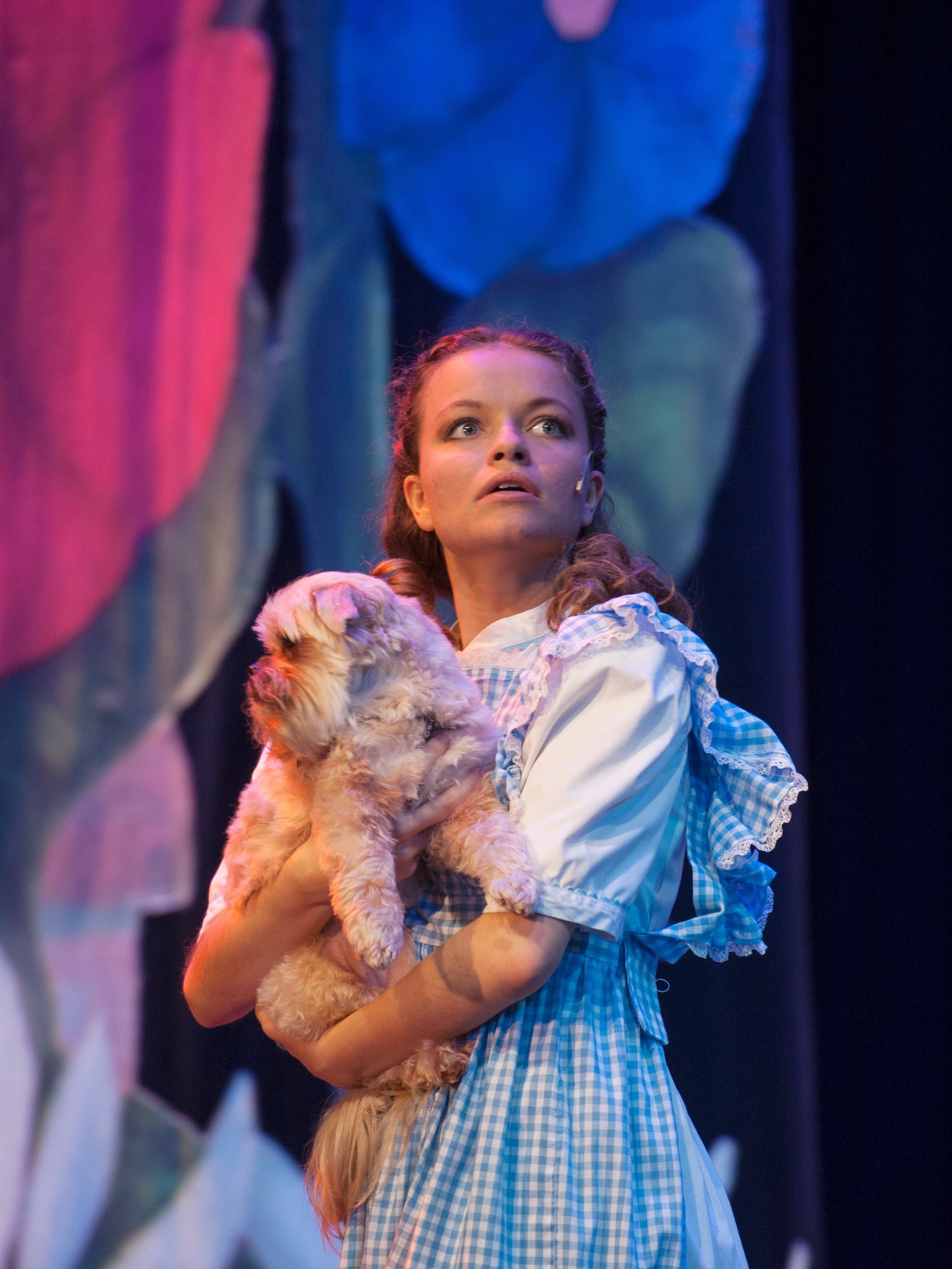 Still of Allyson Nicole Jones in The Wizard of Oz as Dorothy Gale (2014)