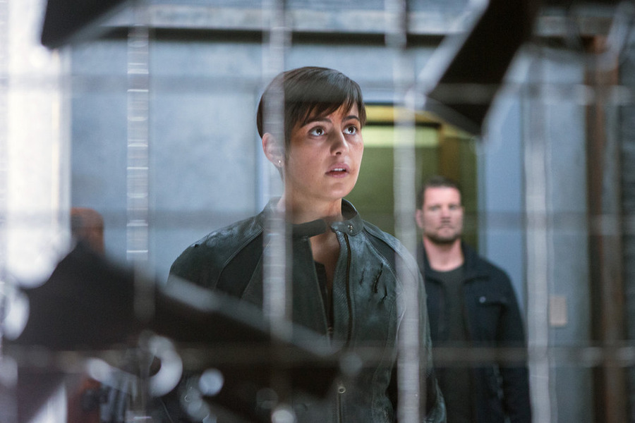 Still of Damien Puckler and Jacqueline Toboni in Grimm (2011)