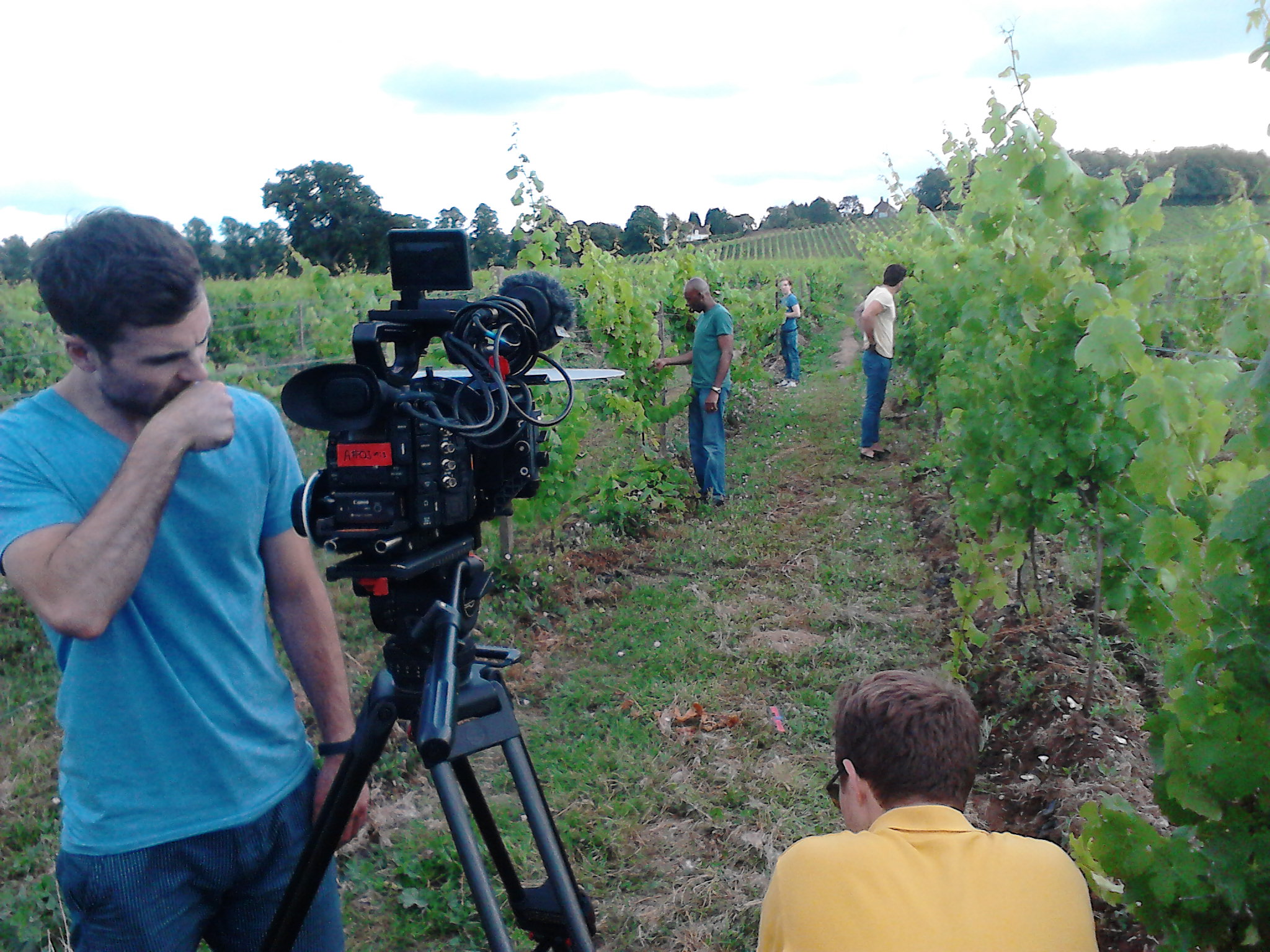 David Olawale Ayinde, with some fellow actors featuring in a Sainsburys Commercial, filming in Dennies Vineyard, Cobham, UK