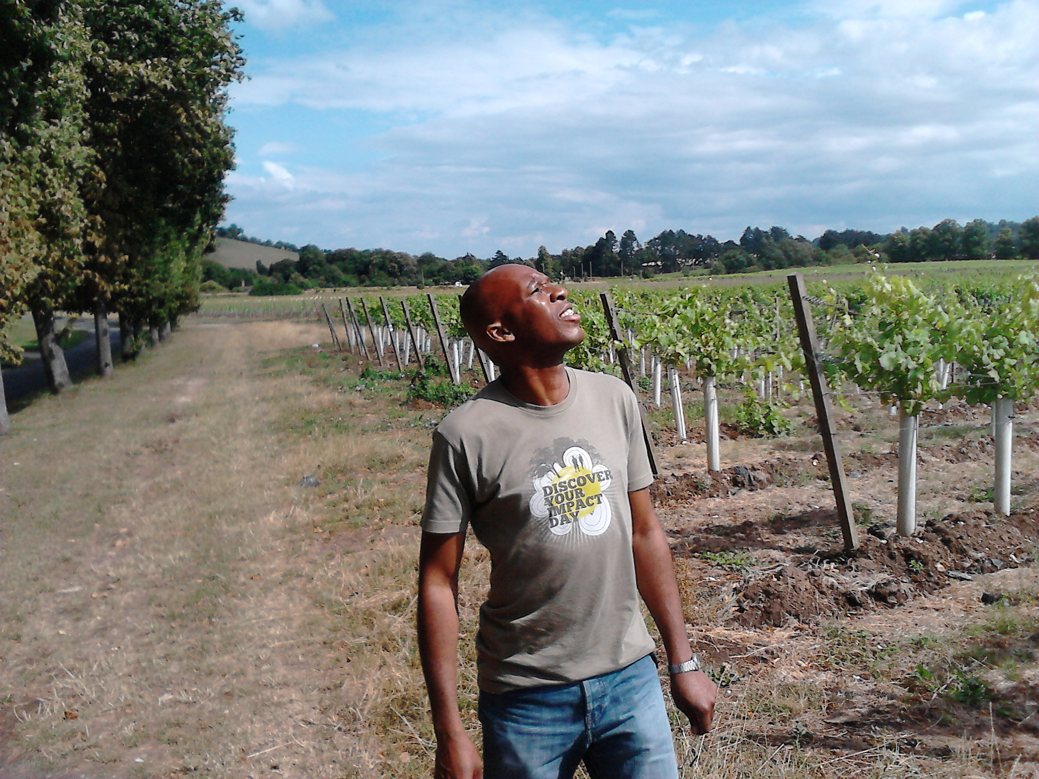 David Olawale Ayinde, Actor in Sainsburys Commercial,Dennies Vineyard, Cobham, UK