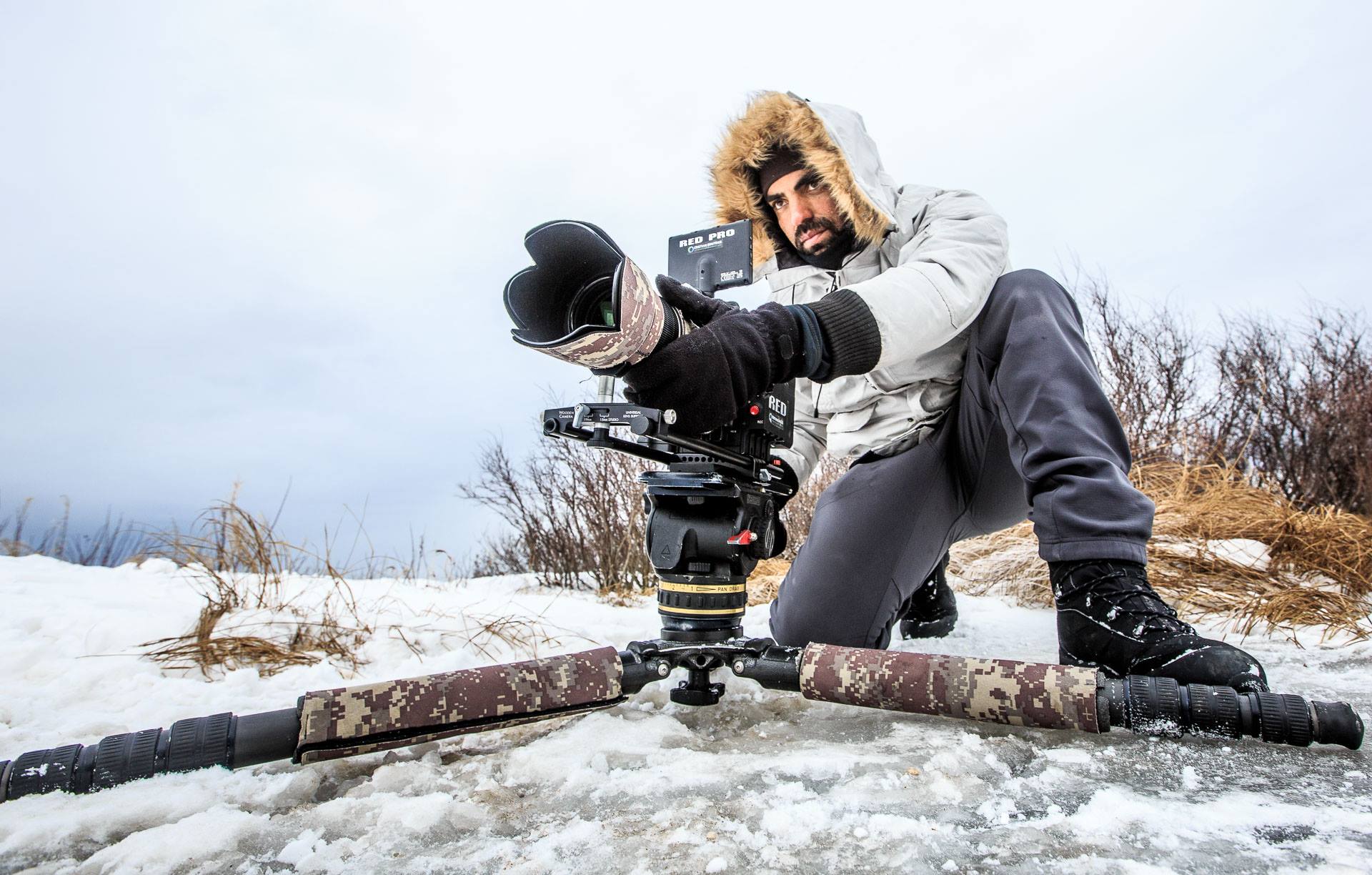 Filming Polar bears in 6k