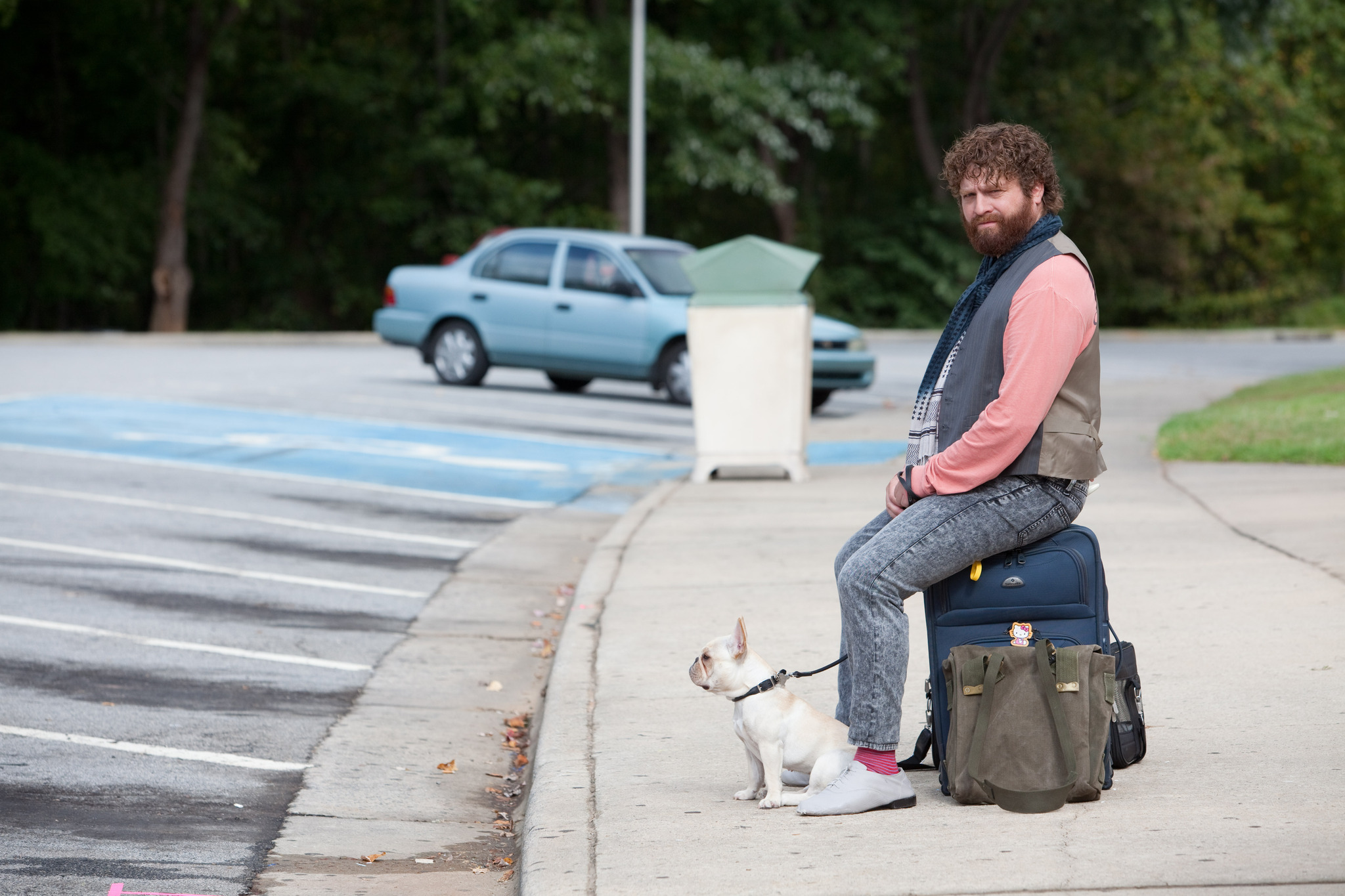 Still of Zach Galifianakis in Vingiuotas kelias namo (2010)