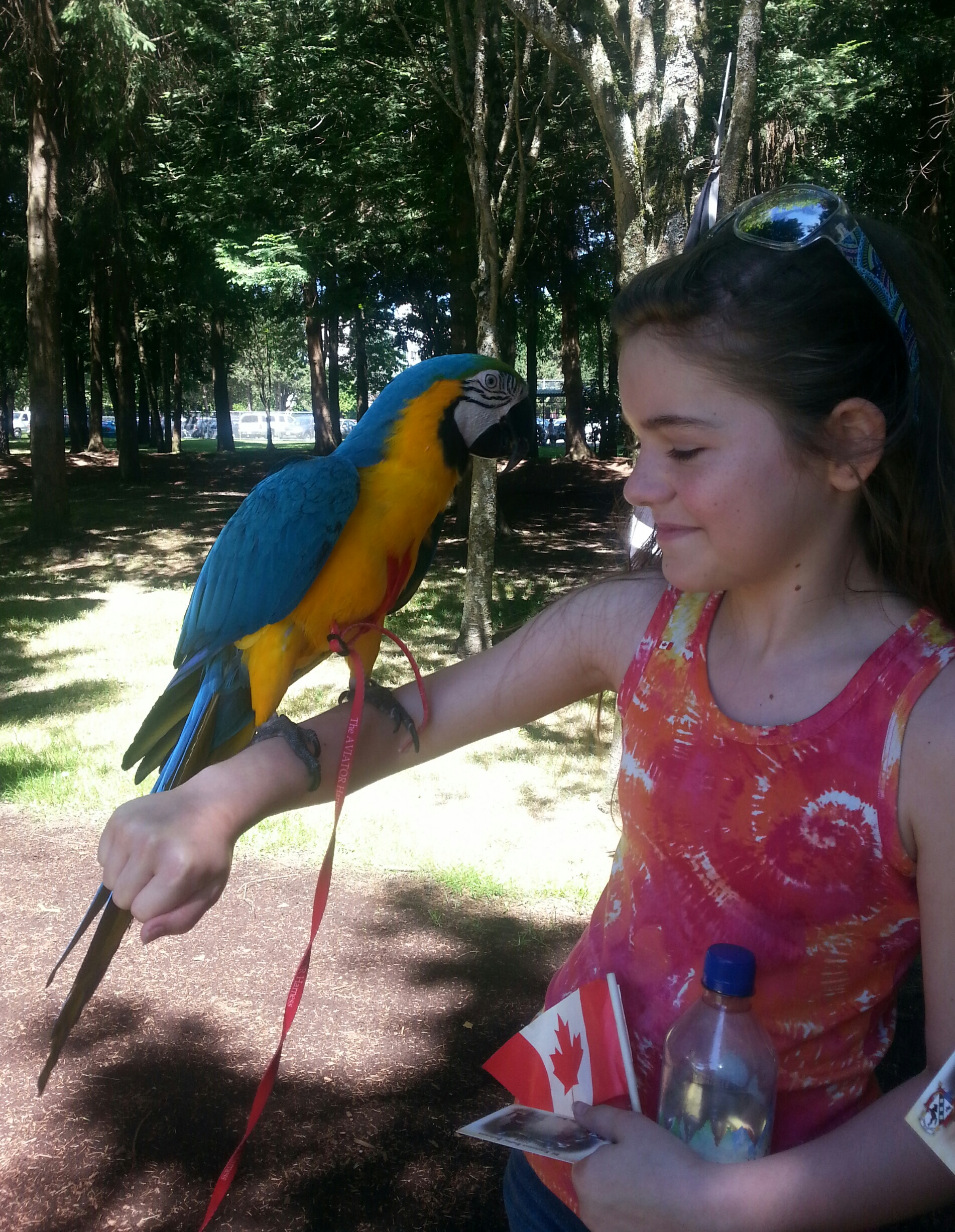 Julia Holding a Parrot (Medieval show)