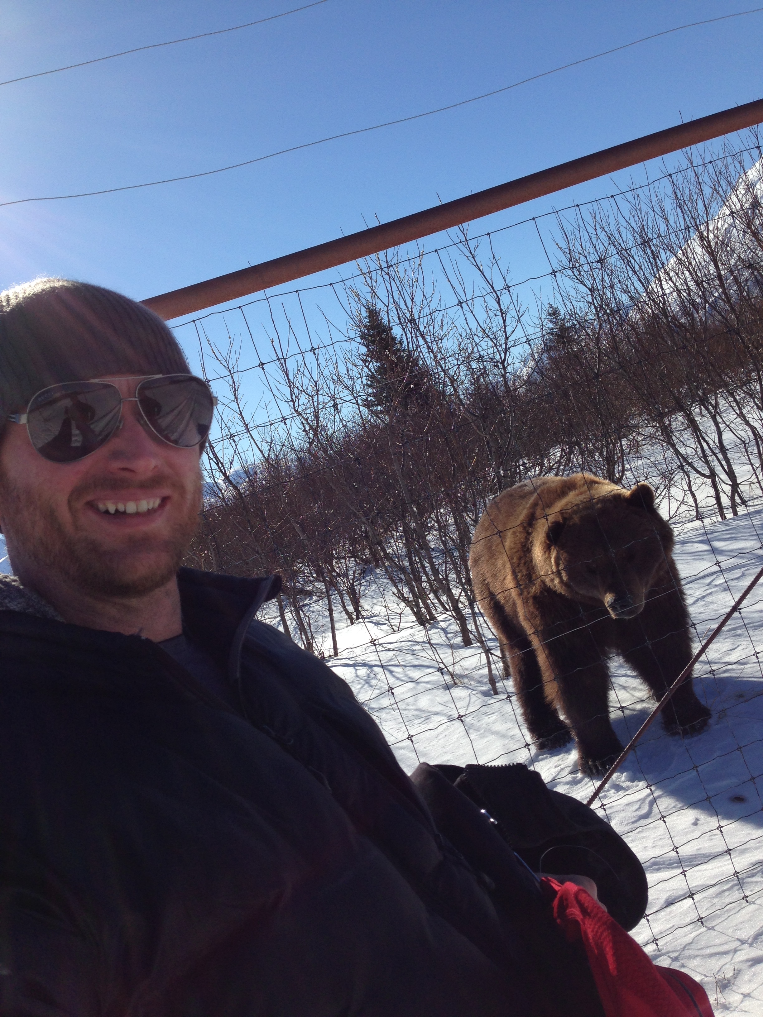 On set filming Sugar Mountain working with Bj the grizzly bear at the animal reserve in Portage Alaska