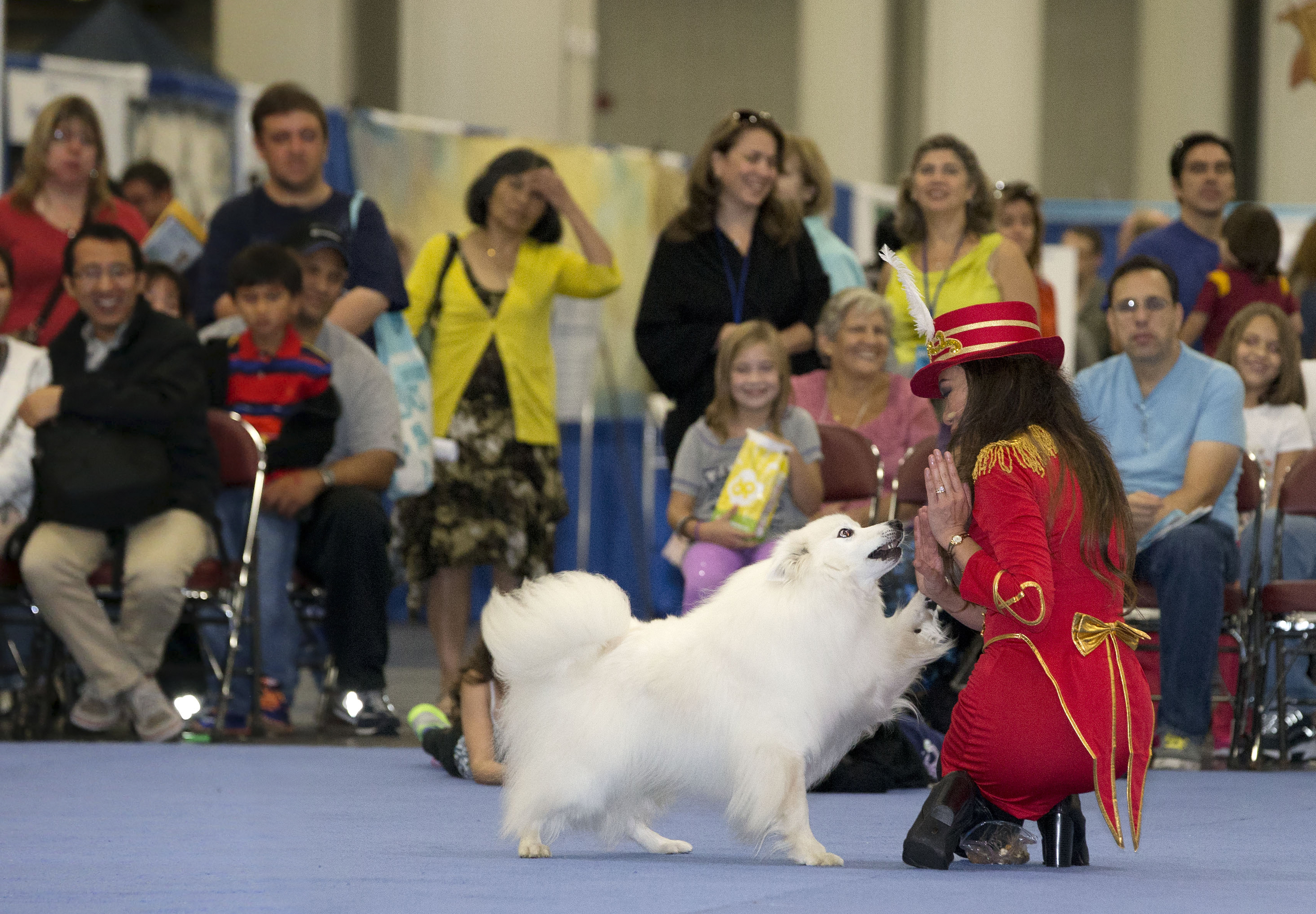 Playing Patty Cake at the American Kennel Club's 