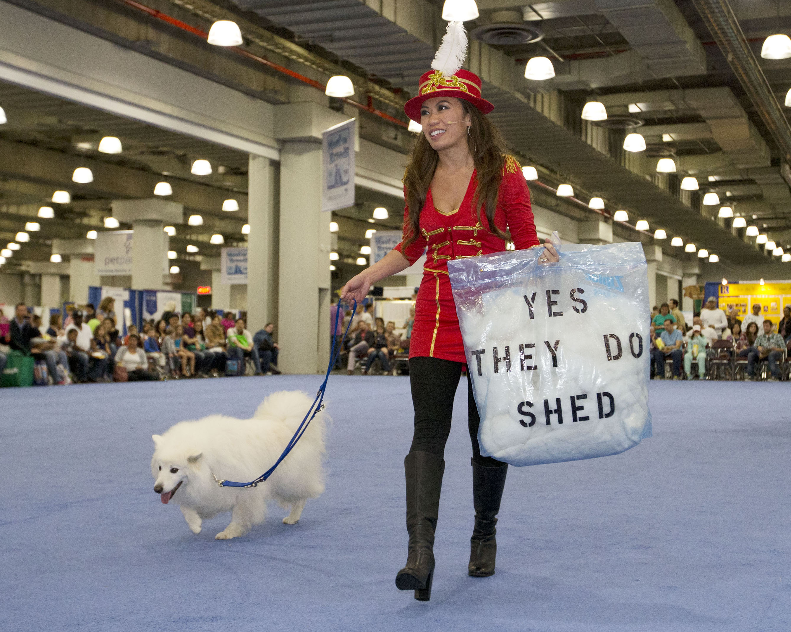 Holding a visual aid to a common question at the American Kennel Club's 