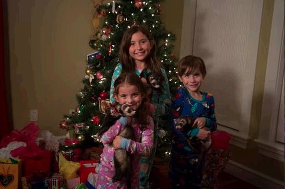 Emma Tremblay, Jacob Tremblay, Erica Tremblay, Krusty The Ferret, Booger The Ferret and Snot The Ferret in Santa's Little Ferrets (2014)
