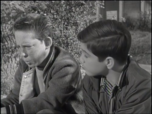 Still of Paul Petersen and Stephen Wootton in The Donna Reed Show (1958)
