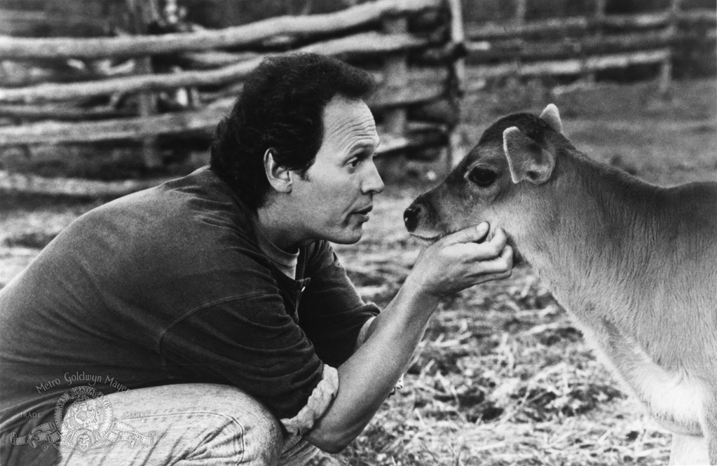 Still of Billy Crystal in City Slickers (1991)