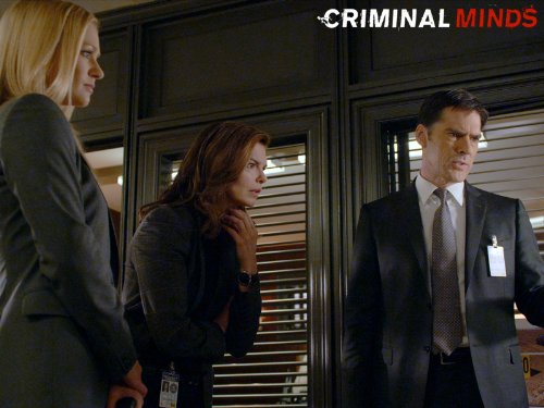 Still of Jeanne Tripplehorn, Thomas Gibson and A.J. Cook in Nusikalstami protai (2005)