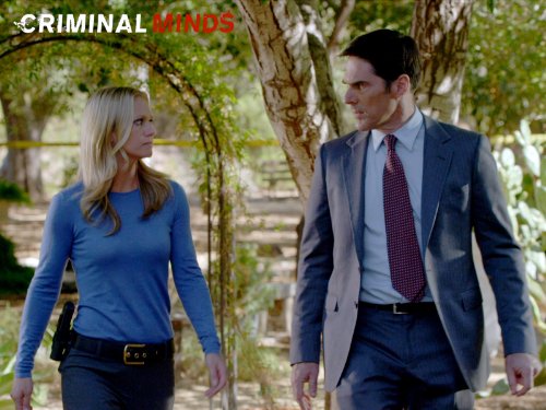 Still of Thomas Gibson and A.J. Cook in Nusikalstami protai (2005)