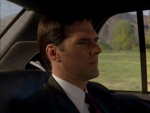 Still of Thomas Gibson in Nusikalstami protai (2005)