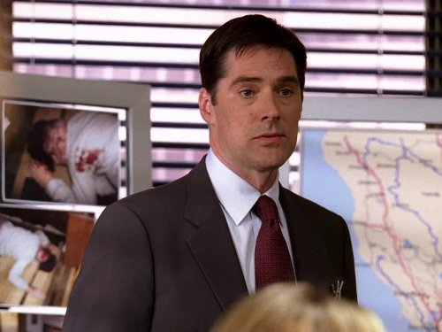 Still of Thomas Gibson in Nusikalstami protai (2005)