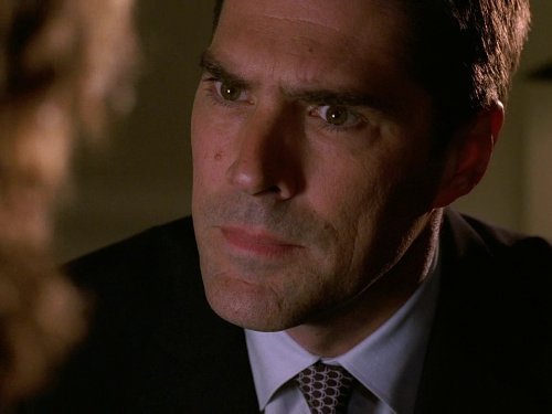 Still of Thomas Gibson in Nusikalstami protai (2005)