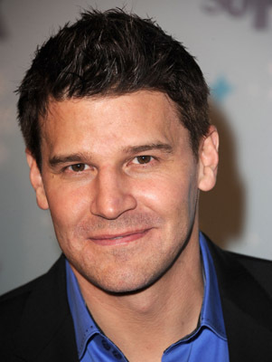 David Boreanaz