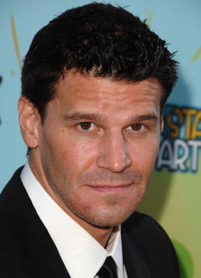 David Boreanaz