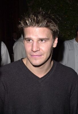 David Boreanaz