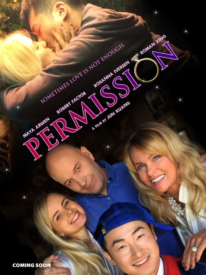 Poster of film Permission