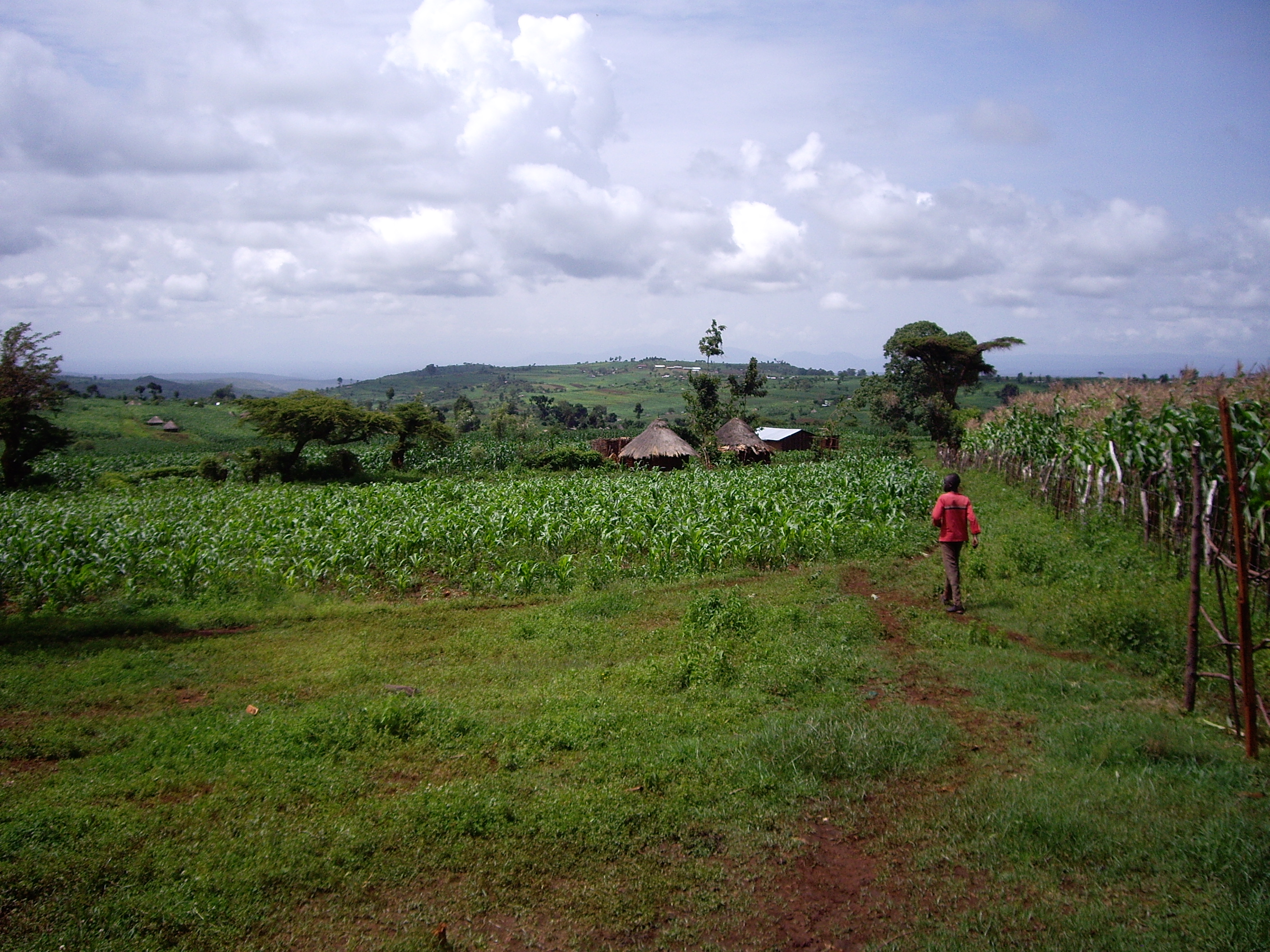 Village in Northeast Uganda where Dan was working on a documentary for Trinity Center for World Missions.