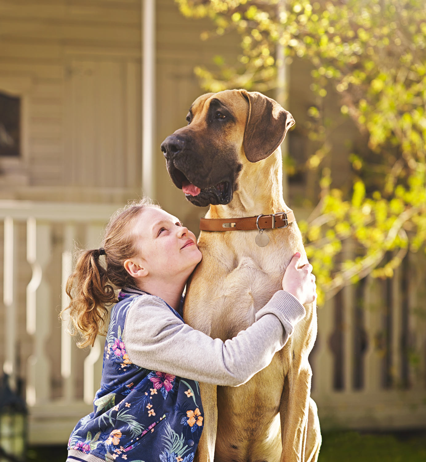 Girl with Great Dane. Ad campaign.(2015)