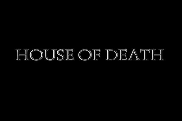 This is the logo poster for my 4th feature film called House of Death.