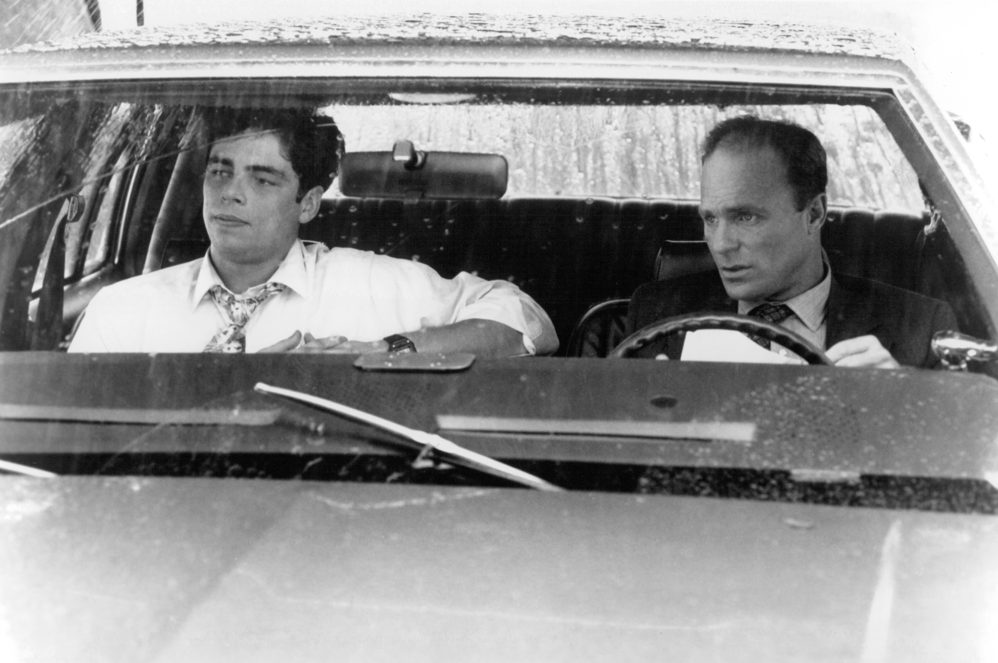 Still of Ed Harris and Benicio Del Toro in China Moon (1994)