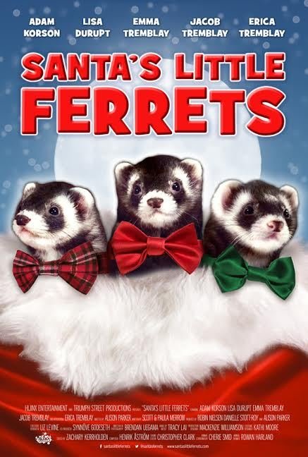 Krusty The Ferret, Booger The Ferret and Snot The Ferret in Santa's Little Ferrets (2014)