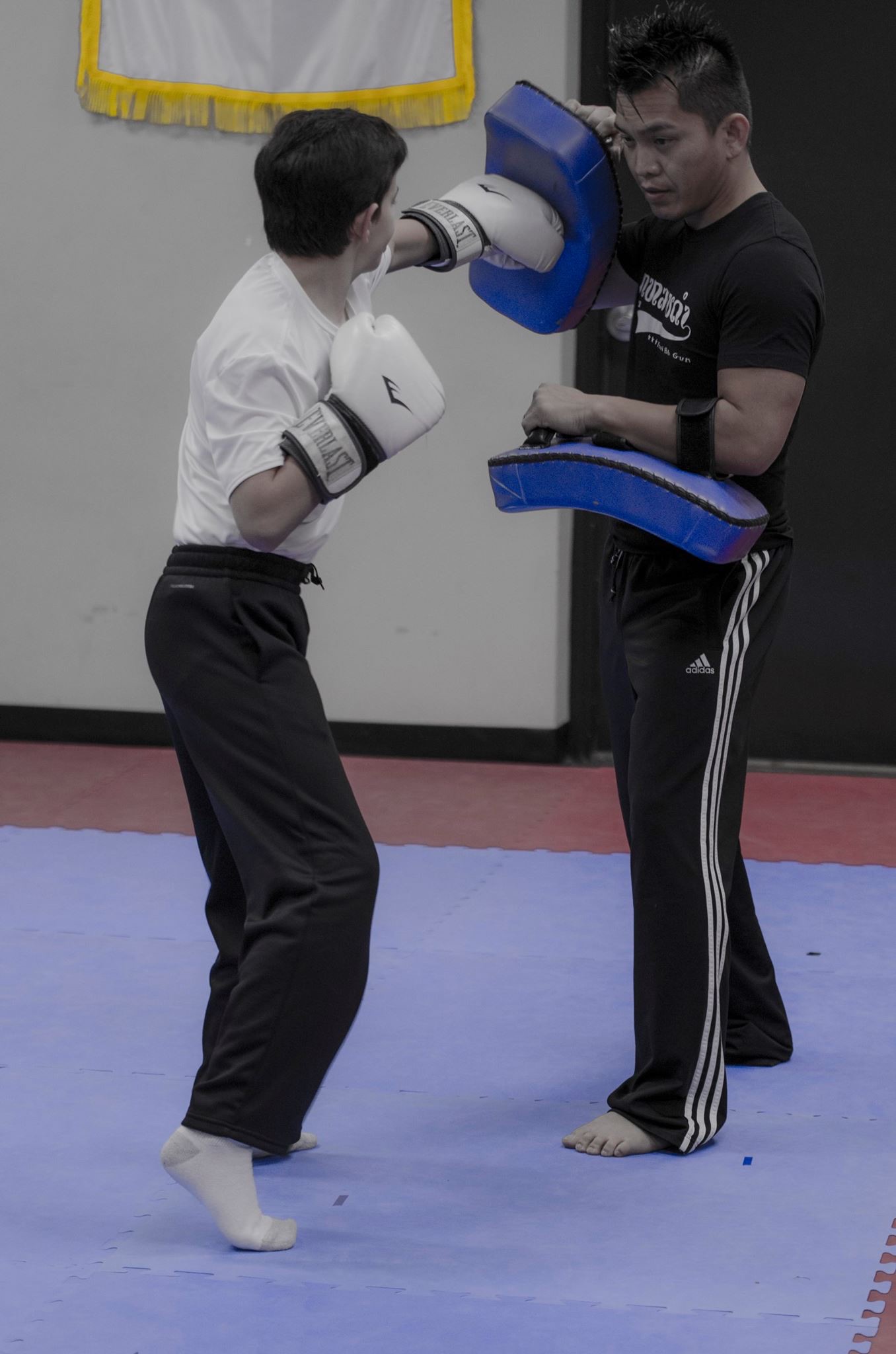 Professional Mixed Martial Arts Training with my personal trainer.