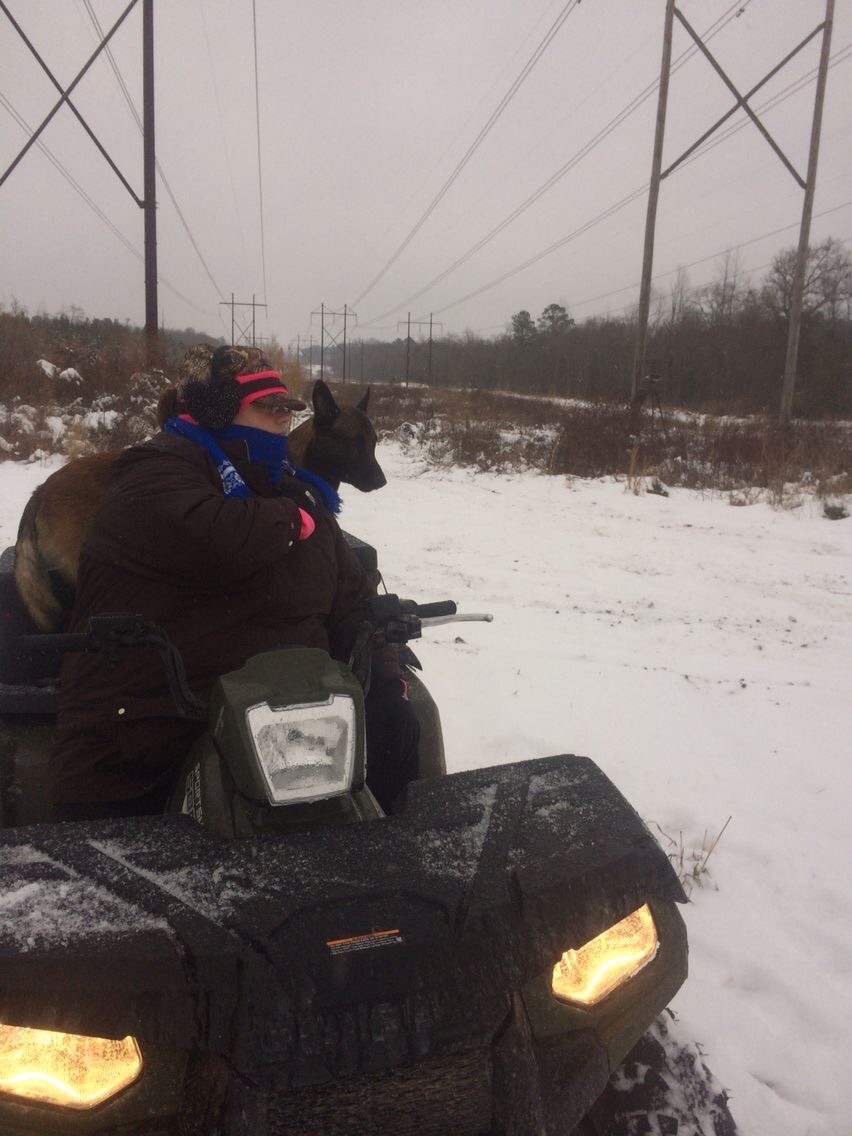 Myself, my Belgian mallioas , the farm, friends, 4 wheelers, Rangers , rope and a golf cart roof; yes that happened lol. End of 2013 or beginning of 2014