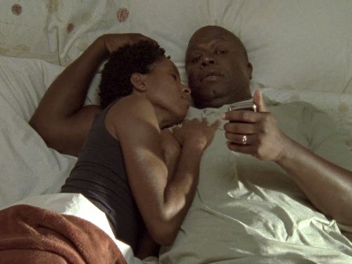 Still of LisaGay Hamilton and Andre Braugher in Men of a Certain Age (2009)