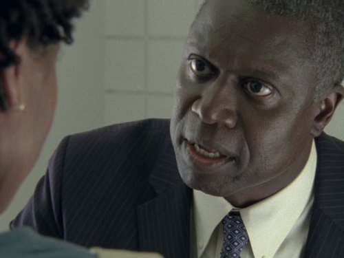 Still of LisaGay Hamilton and Andre Braugher in Men of a Certain Age (2009)