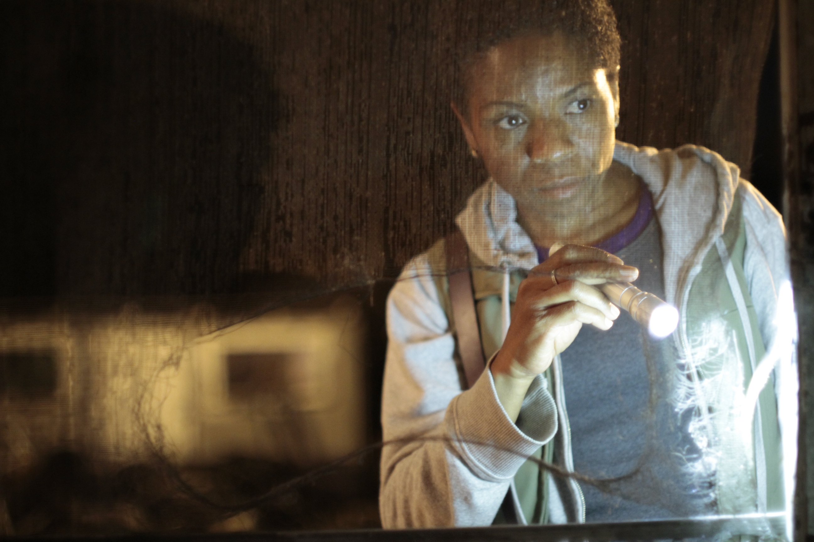 Still of LisaGay Hamilton in Go for Sisters (2013)