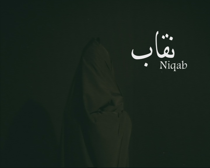 Niqab. 2010