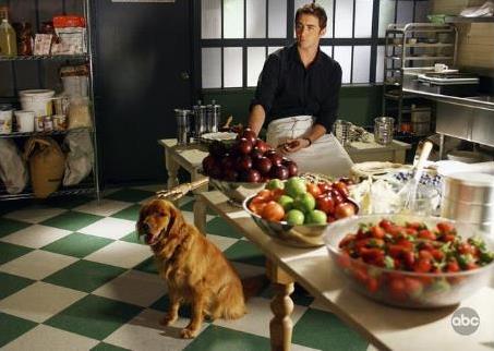 Still of Lee Pace in Pushing Daisies (2007)