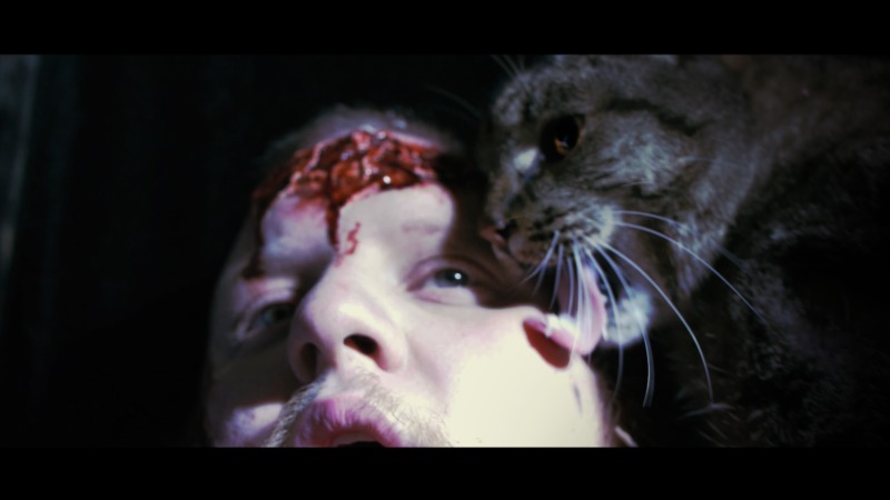 Screenshot, from the feature film from MWB3 Problems. Zombie Cats From Mars!