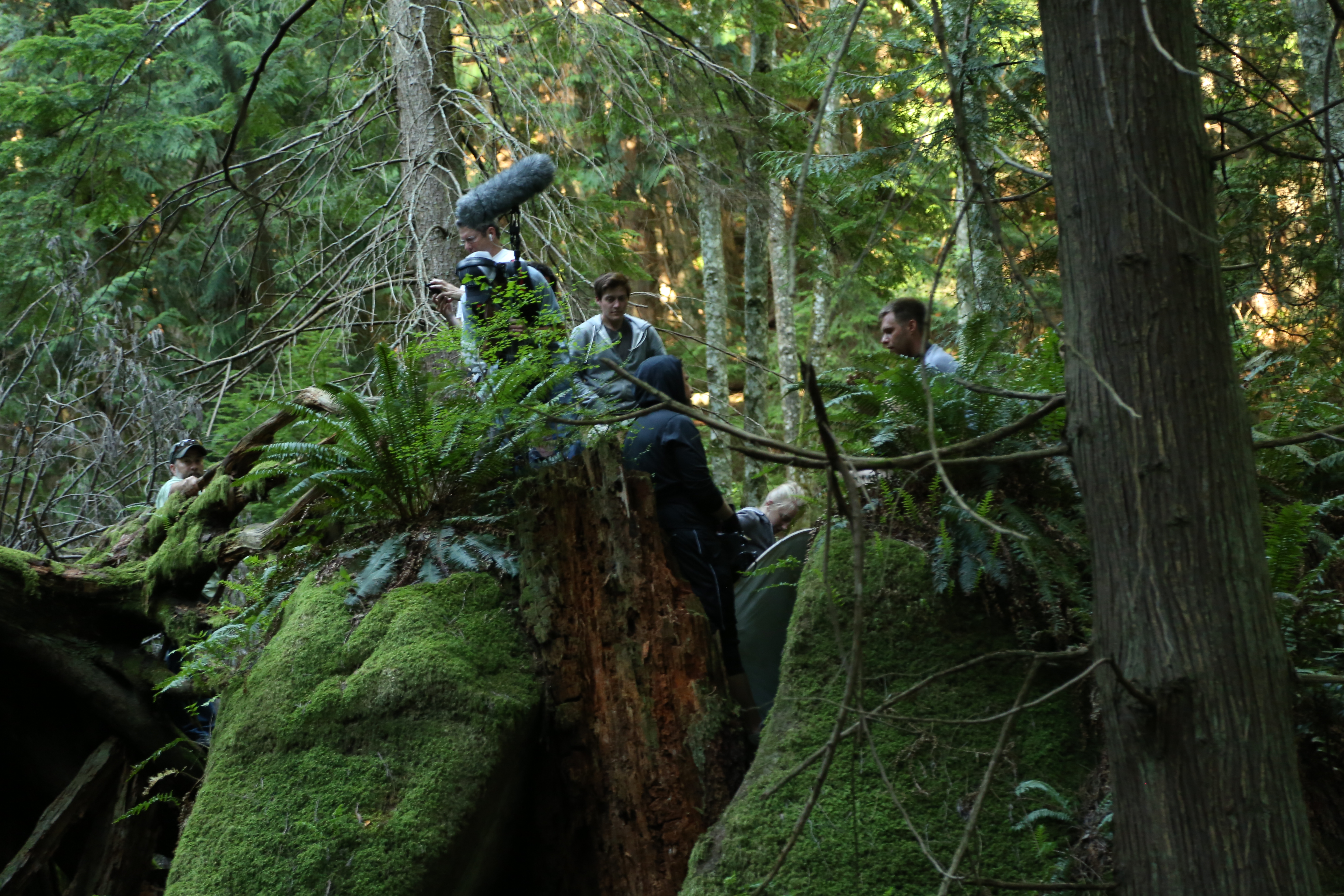 Cameron Currier, Jerico Lenk, Avielle Heath, Siobhan Younger and Caleb Young, Into the Lavender Creases of Evening