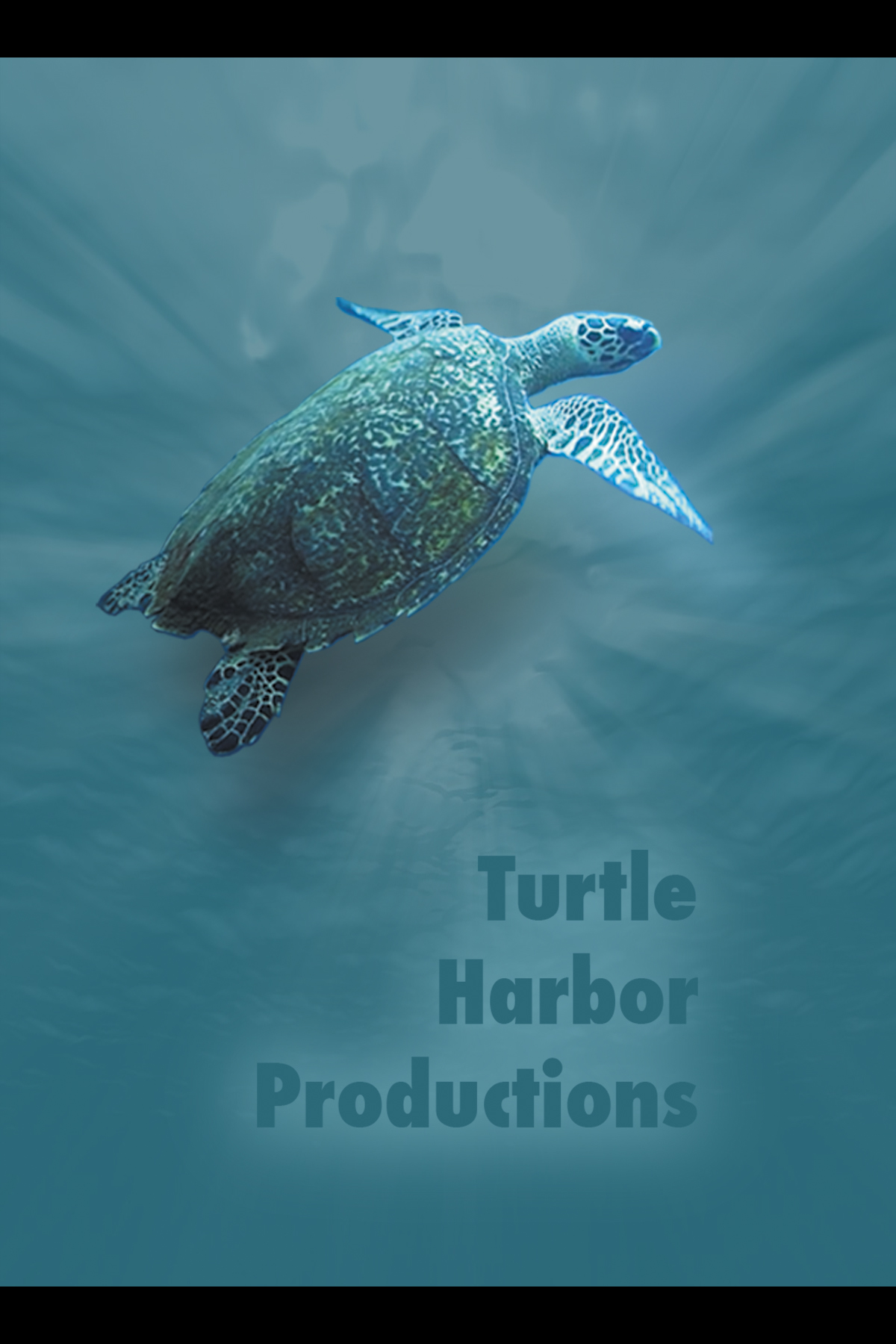 Turtle Harbor Productions