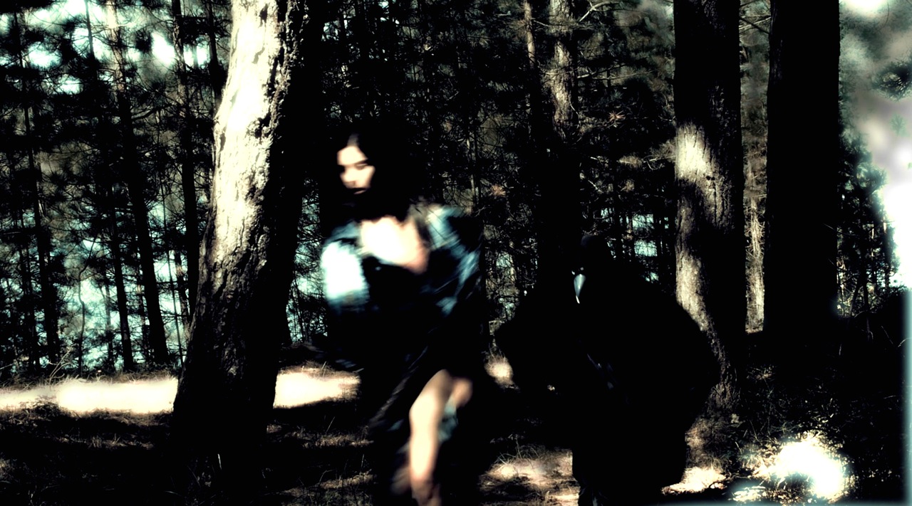 Through the battling woods Screen grab from 