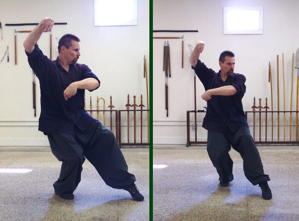 Michael Dawson demonstrating Seven-Star Praying Mantis kung-fu (2014).