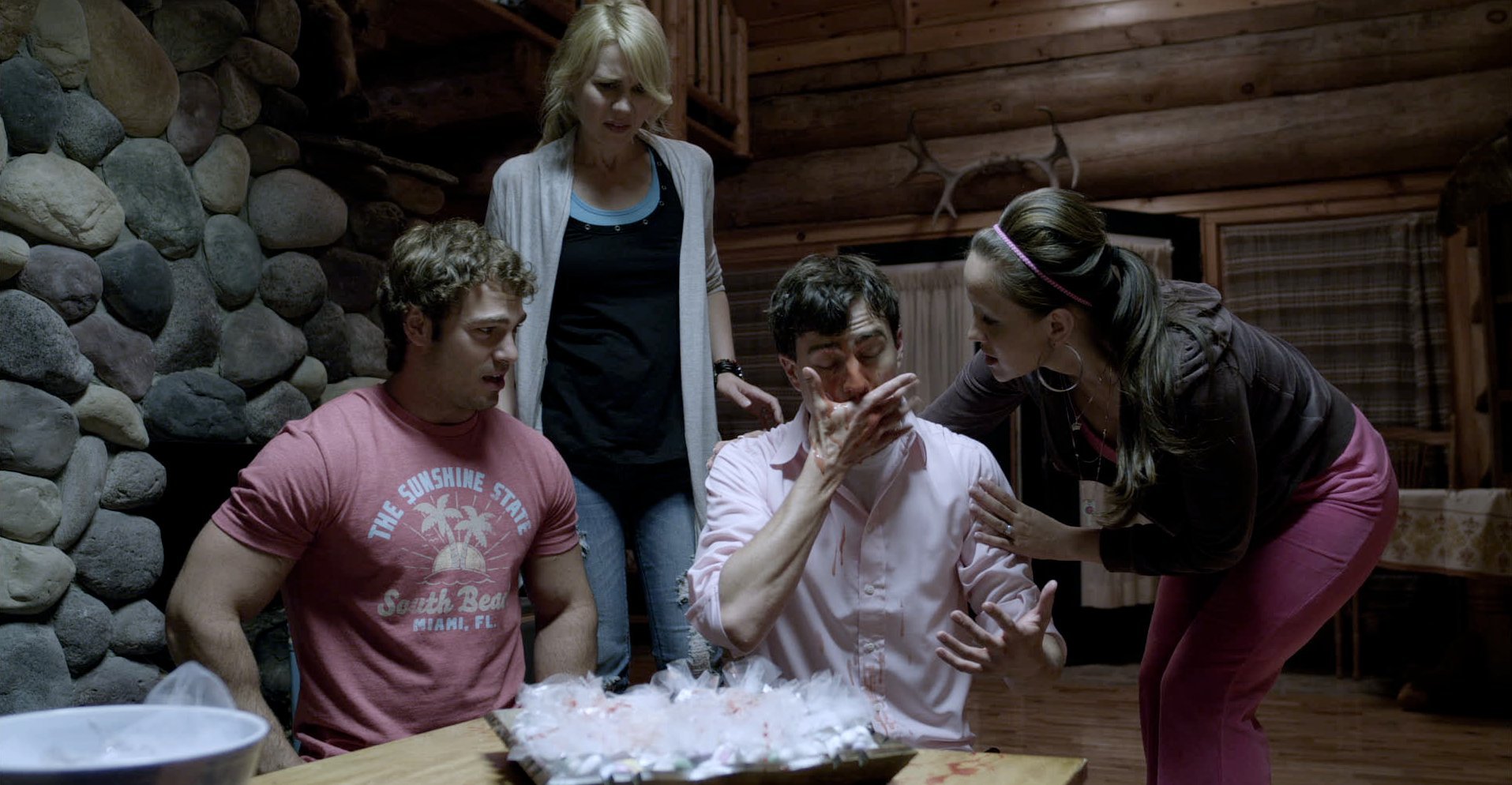 Crystal Lowe, Shawn Roberts, Kristopher Turner and Kristen Hager in A Little Bit Zombie (2012)
