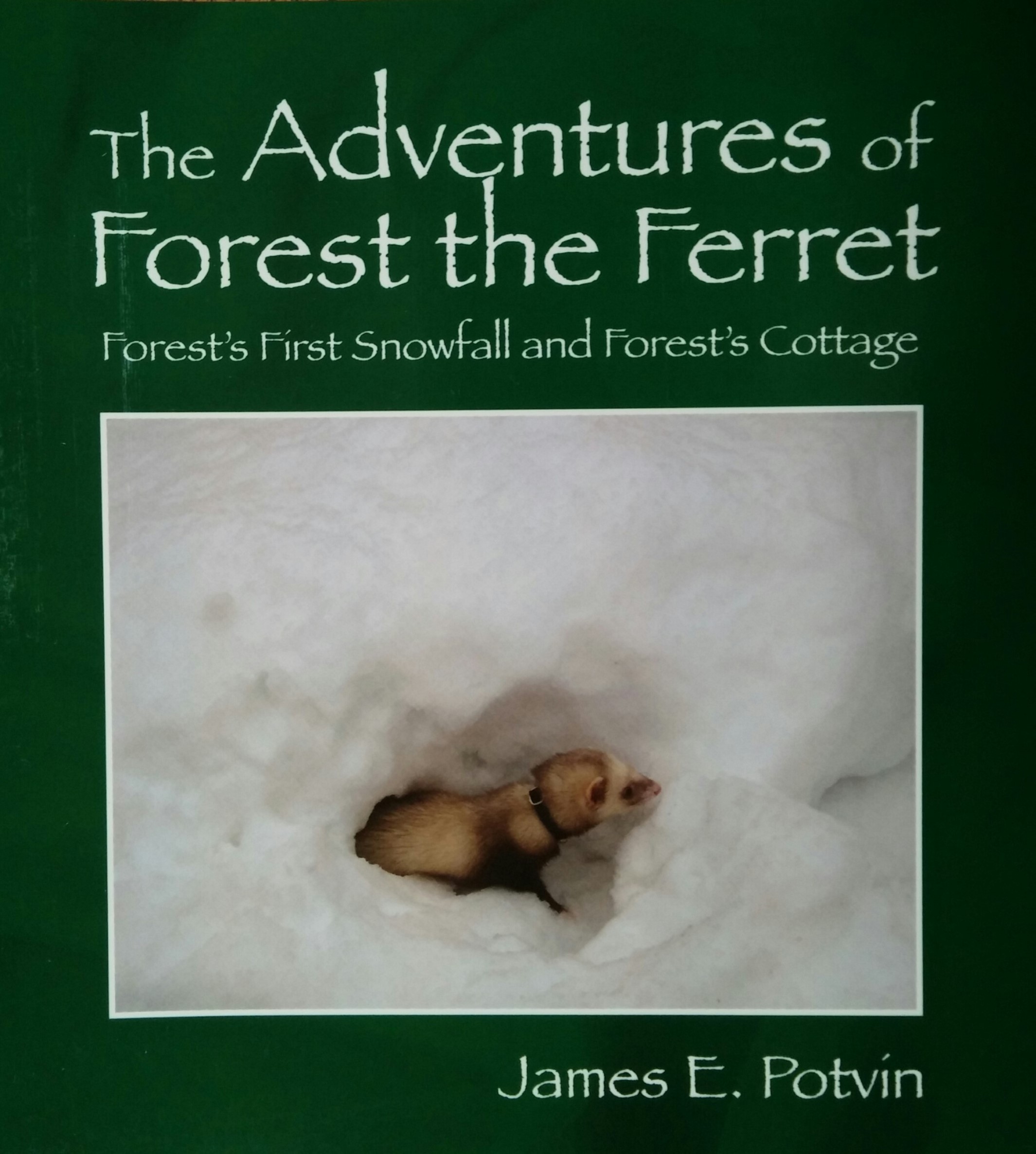 The Adventures of Forest the Ferret by author James E. Potvin