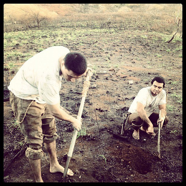 Jesse Starmer and Hugh Chou in a scene from Hawaii Previous.